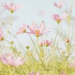 Connecting with the Natural World