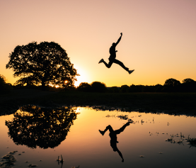 Leap and The Net Will Appear