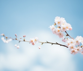 Spring into Change!